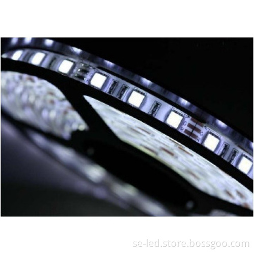 12V IP68 5050SMD Flexible led strip with CE and RoHS Approval